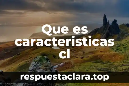 Que es caracteristicas cl