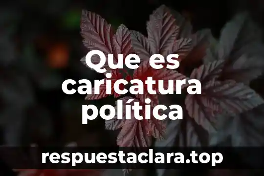 Que es caricatura política