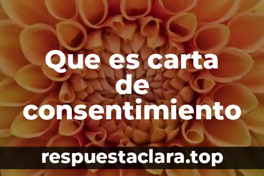 Que es carta de consentimiento
