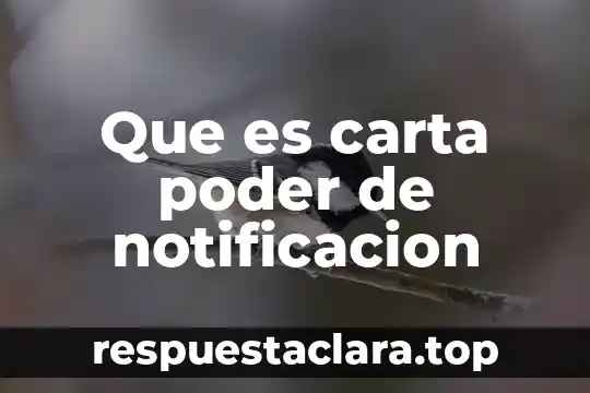 Que es carta poder de notificacion