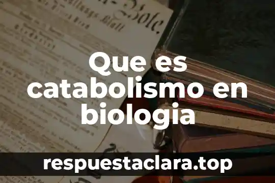 El símbolo k en física que es 8 Que es catabolismo en biologia