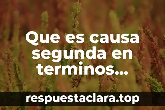 Que es causa segunda en terminos filosoficos
