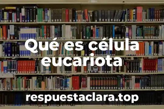 Qué es célula eucariota