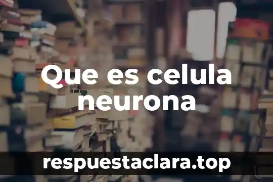 Que es celula neurona