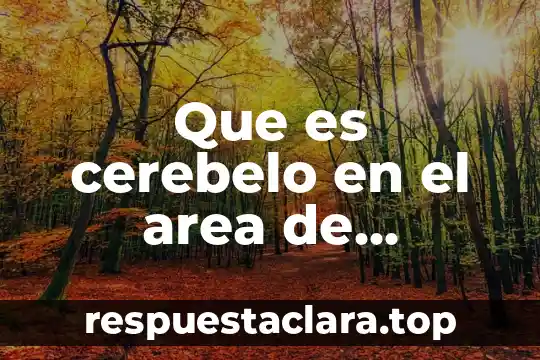 Que es cerebelo en el area de biologia
