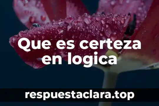 Que es certeza en logica