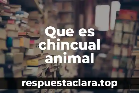 Que es un animal feral 8 Que es chincual animal