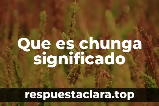 Significado de adverbio que es concepto y definición 7 Que es chunga significado