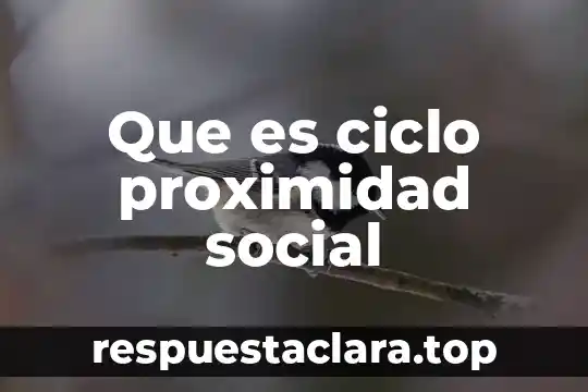 Que es ciclo proximidad social