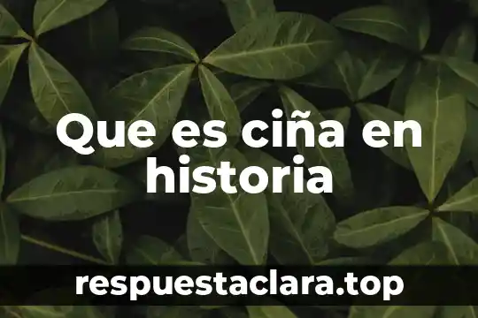 Que es ciña en historia