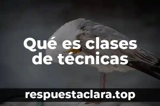 ¿Qué es técnicas e instrumentos cuantitativos? 7 Qué es clases de técnicas