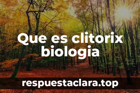 Que es clitorix biologia