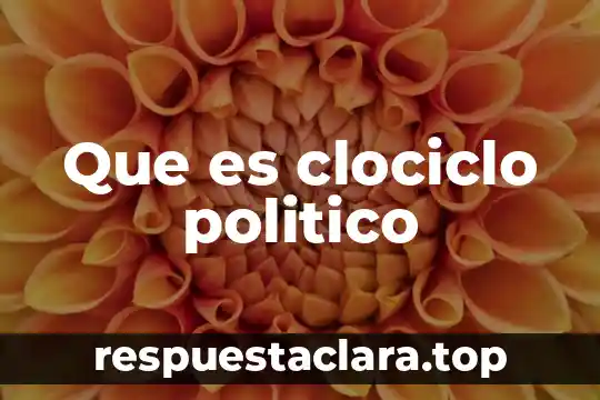 Que es el cartron politico 8 Que es clociclo politico