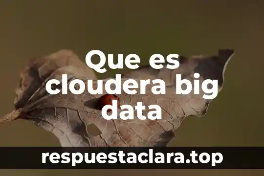 Que es cloudera big data
