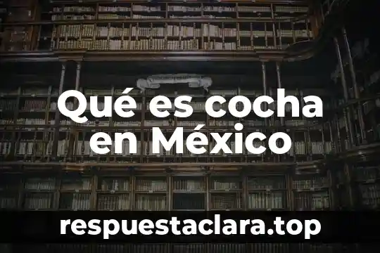 Qué es cocha en México