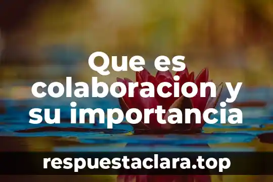 Que es colaboracion y su importancia