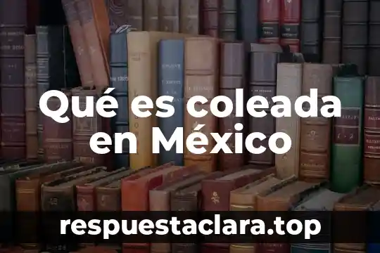Que es un tribunal federal mexico 5 Qué es coleada en México
