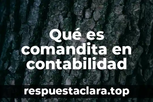 Qué es comandita en contabilidad