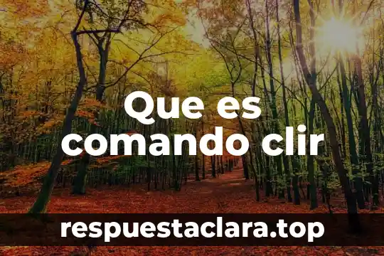 Que es comando clir