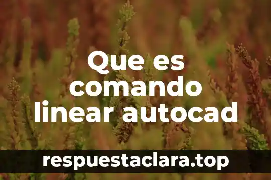 Que es comando linear autocad