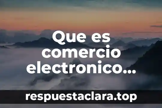 Que es comercio electronico ante el articulo 89