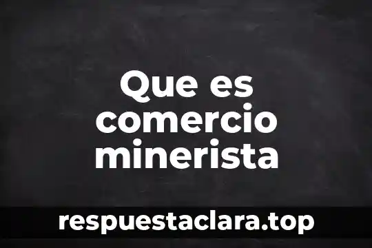 Que es comercio minerista