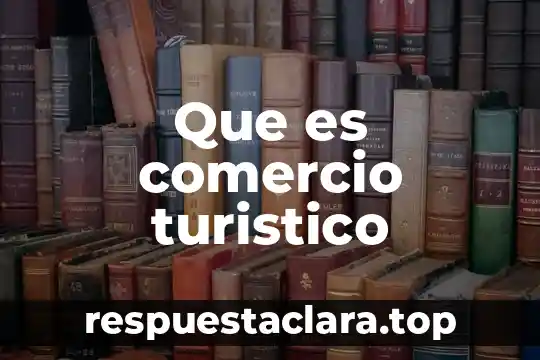 Que es comercio turistico