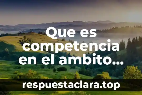 Que es competencia en el ambito escolar elementos