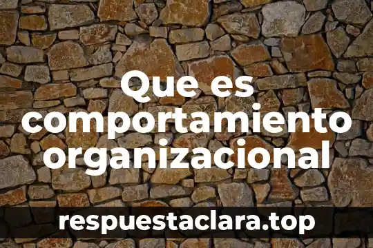 Que es comportamiento organizacional
