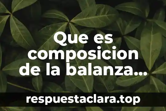 Que es composicion de la balanza de pagos