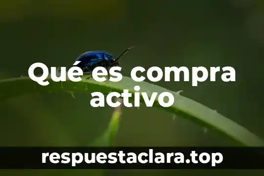 Qué es compra activo