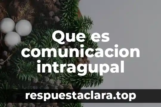Que es comunicacion intragupal