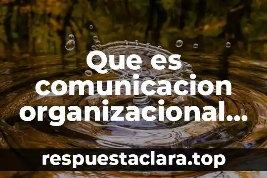 Qué es una célula eucariota animal 7 Que es comunicacion organizacional como carrera