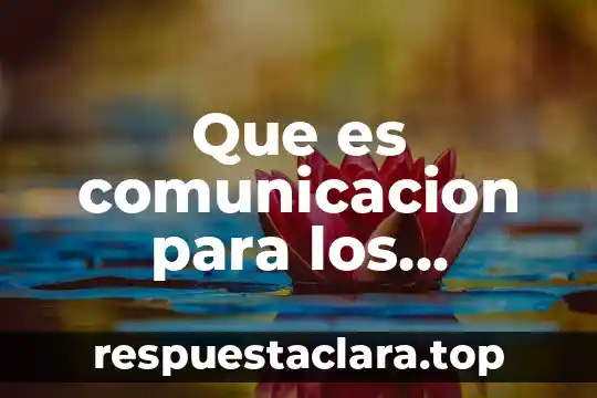 Definicion que es comunicacion espacial 8 Que es comunicacion para los españoles