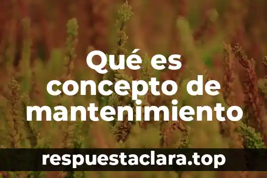 Qué es concepto de mantenimiento