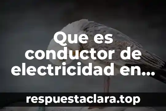 Que es un conductor musical 6 Que es conductor de electricidad en fisica