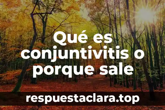 Qué es conjuntivitis o porque sale
