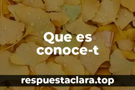 Que es conoce-t
