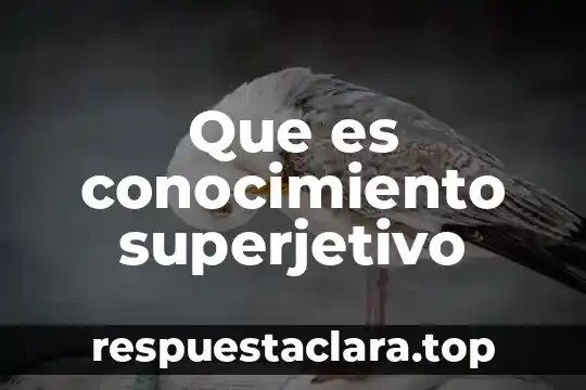Que es el conocimiento p profesional docente 5 Que es conocimiento superjetivo