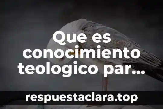 Que es conocimiento teologico par que sirve