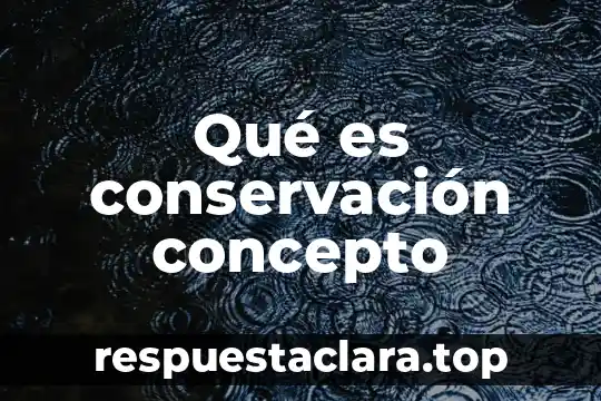 Qué es una secta concepto 3 Qué es conservación concepto
