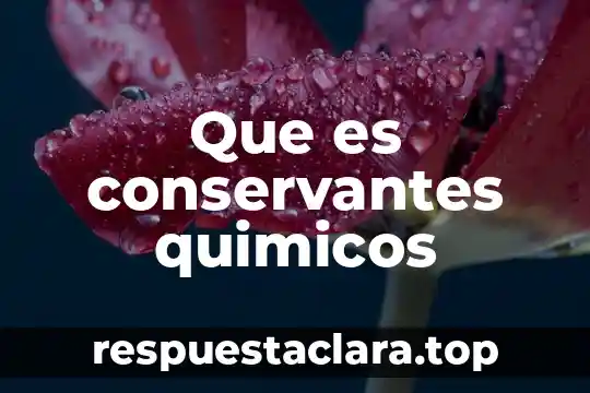 Que es conservantes quimicos