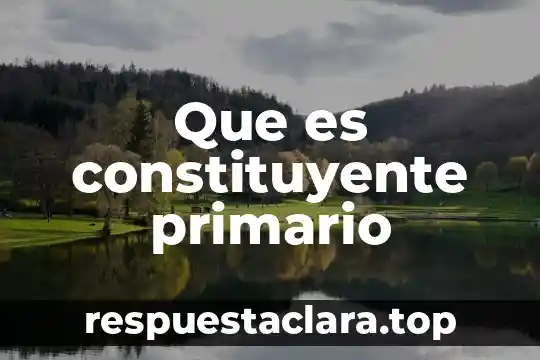 Que es constituyente primario