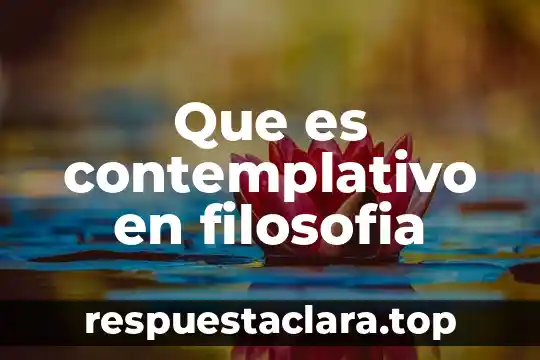 Que es contemplativo en filosofia