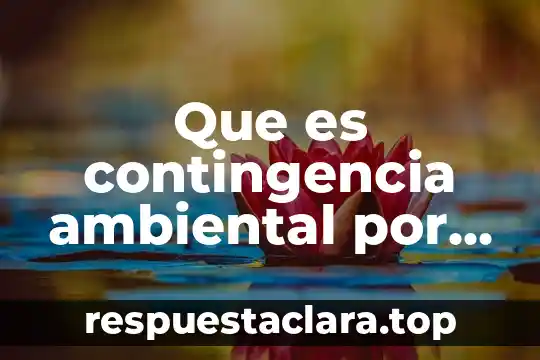 Que es contingencia ambiental por ozono