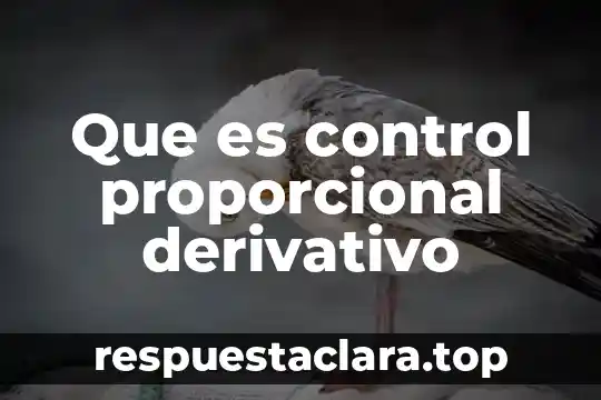 Que es control proporcional derivativo