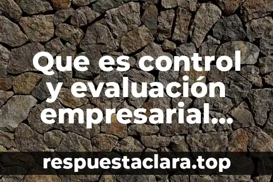 Que es ser mexicano para mi 6 Que es control y evaluación empresarial monitoreo
