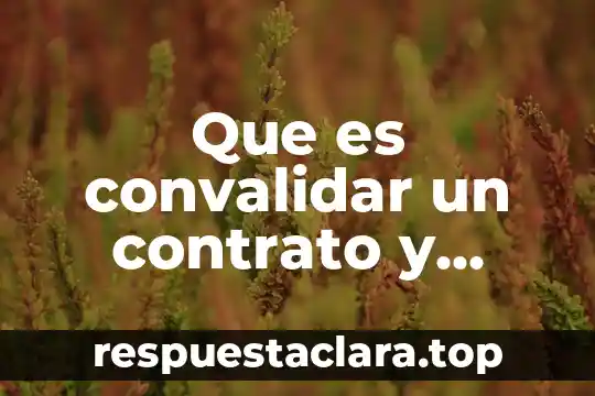 Que es el marco fisico de un proyecto 5 Que es convalidar un contrato y ejemplo