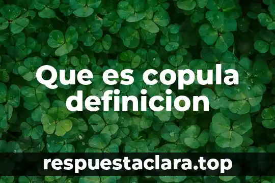 Que es copula definicion