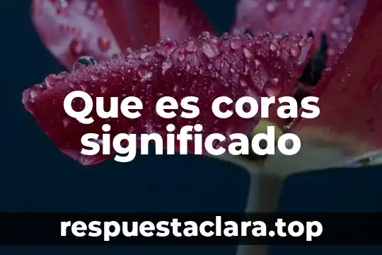 En la biblia que es el significado del misterio pascual 6 Que es coras significado